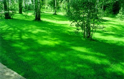 Landscape — 1