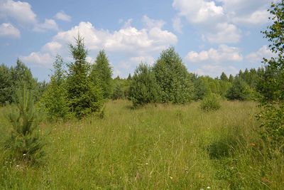Uchastki — 6