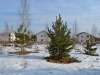 DSC_0132.jpg